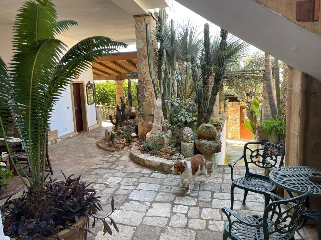 Felline In Bed&Breakfast Dimora Di Charme El Salento المظهر الخارجي الصورة